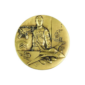 Médaille pour les 100 ans des pilotes de la chasse Française